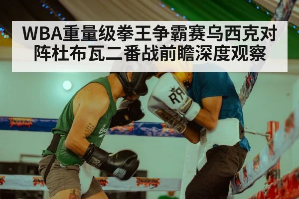 WBA重量级拳王争霸赛乌西克对阵杜布瓦二番战前瞻深度观察